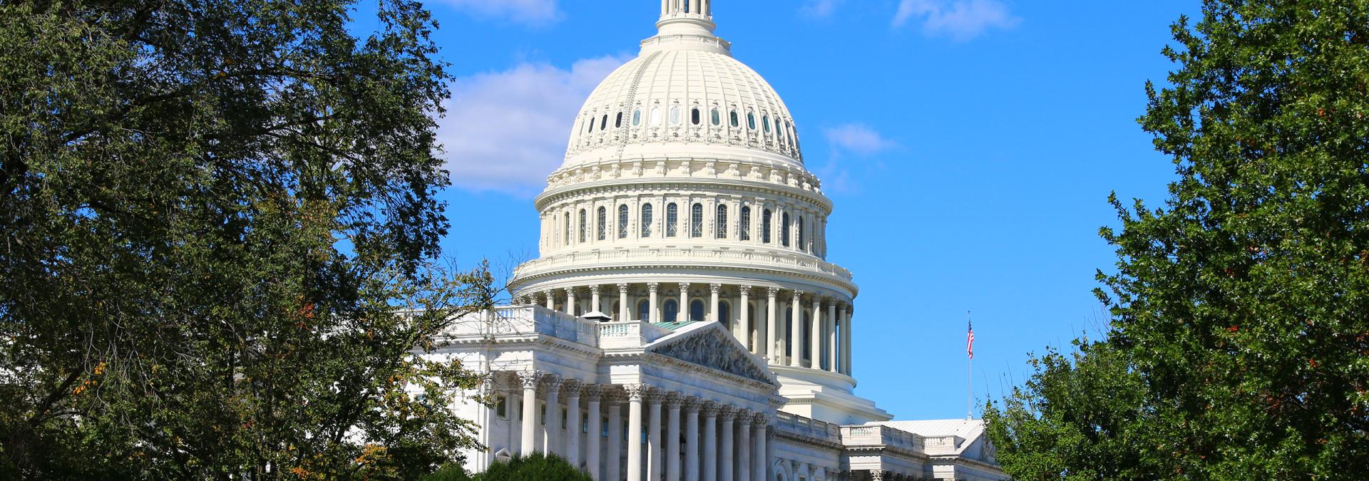 Tree-lined side of the Capitol building