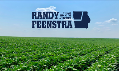 Bean Field Navy Logo Website & Social